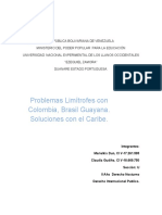 PROBLEMAS LIMITROFES CON COLOMBIA, BRASIL, GUAYANA. SOLUCIONES CON EL CARIBE.
