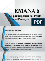 Semana 6 Su Participación en El Peritaje Contable777