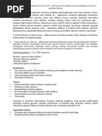 Kaip Rasyti Literaturini Rasini Pavyzdys | PDF