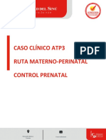 Actividad Control Prenatal Canvas