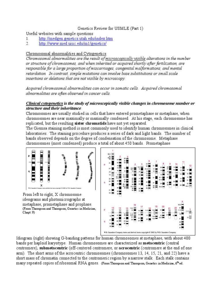 Genetics Review 1 | PDF
