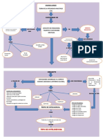 Mapa Conceptual Gardner