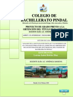 PDF Del Proyecto 2021