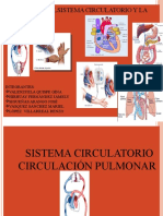 CIRCULACION PORTAL HEPATICA TRMNIDO -.-1 (3)