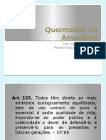 Queimadas Na Amazônia - APRESENTAÇÃO CESUPI