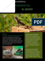 Infografía - El Gecko