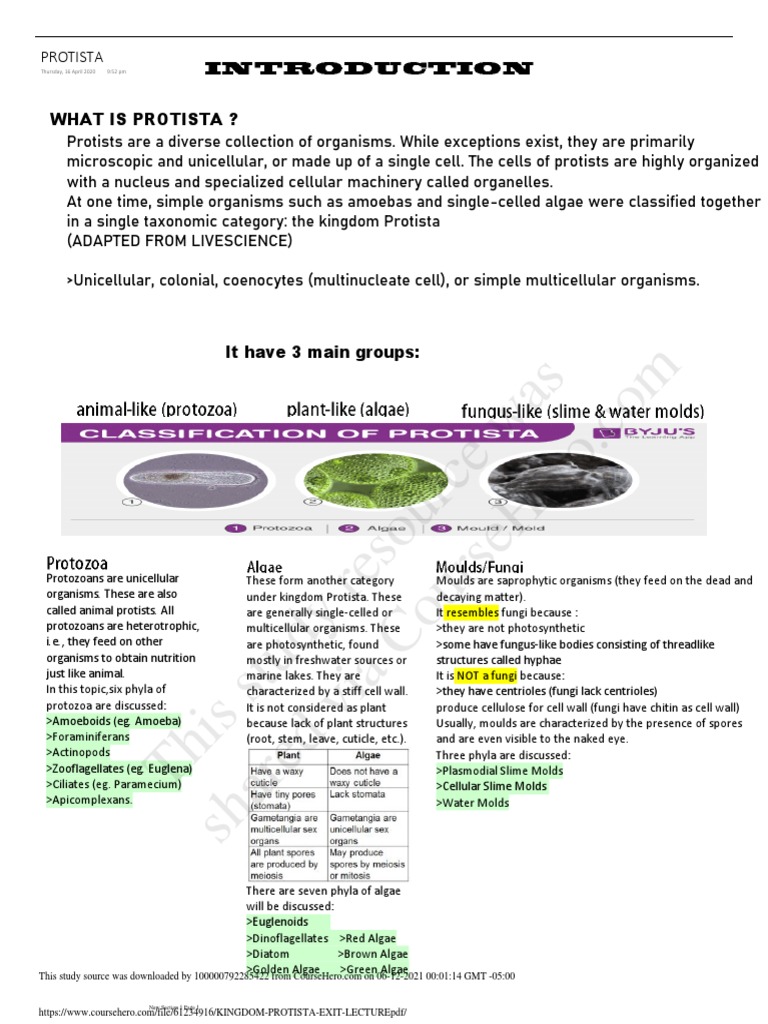 This Study Resource Was: What Is Protista ? | PDF | Protozoa | Algae