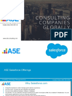 A5E Salesforce Offerings - With Case Studies