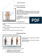 Anatomía Quirúrgica