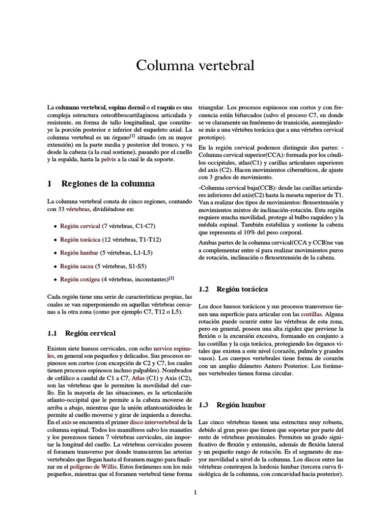 Anatomía y Funciones de la Columna Vertebral | PDF | La columna ...