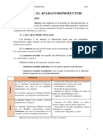 Ut12 - Aparato Reproductor - 1