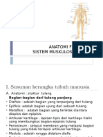 Anatomi Fisiologi Sistem Muskuloskeletal