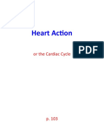 Heart Action: or The Cardiac Cycle