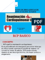 Brigadsta de Primeros Auxilios - RCP