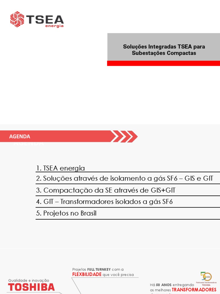 SÓLIDOS GEOMÉTRICOS - Com a professora Gis 