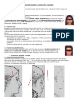 Componente Esqueletal - S. Estomatognatico