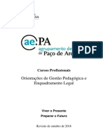 OGPCP 2018-19-Orientações de Gestão Pedagógica Dos CProfissionais-Com Parecer Do CG - AEPA