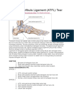 Anterior Talofibula Ligament (ATFL) Tear: Leave A Comment / IFIX Physiotherapy Blog / by Ifixphysiotherapy
