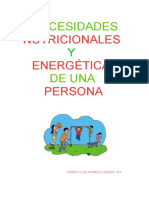 Necesidades Nutricionales y Energeticas de Una Persona