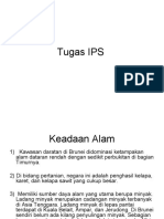 Tugas IPS Brunei Darussalam