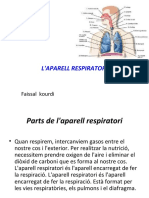 L'Aparell Respiratori: Faissal Kourdi