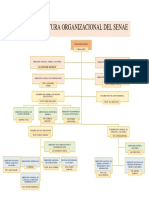 Estructura Organizacional SENAE - CARRERA MOYA