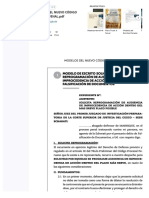 PDF Modelos Del Nuevo