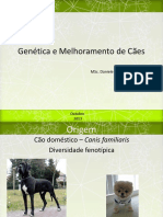 Genética e Melhoramento de Cães