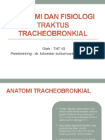 Anatomi Dan Fisiologi Traktus Tracheobronkial