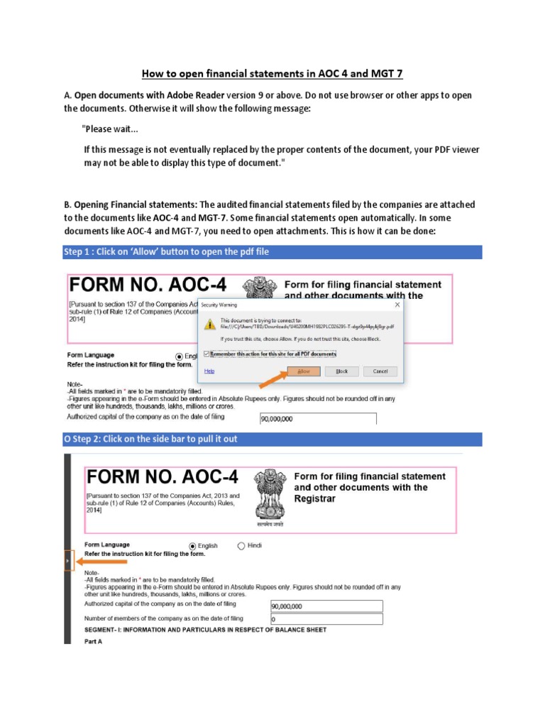 How To Open The Financial Statements in AOC-4 and MGT-7 | PDF
