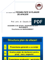 Structura Plan de Afaceri
