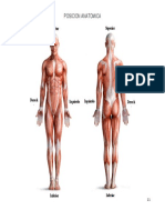 Posicion Anatomica 1.1