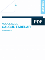 Programa_Calcul_Tabelar_-_Syllabus_6.0_