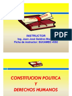 Constitucion y DDHH