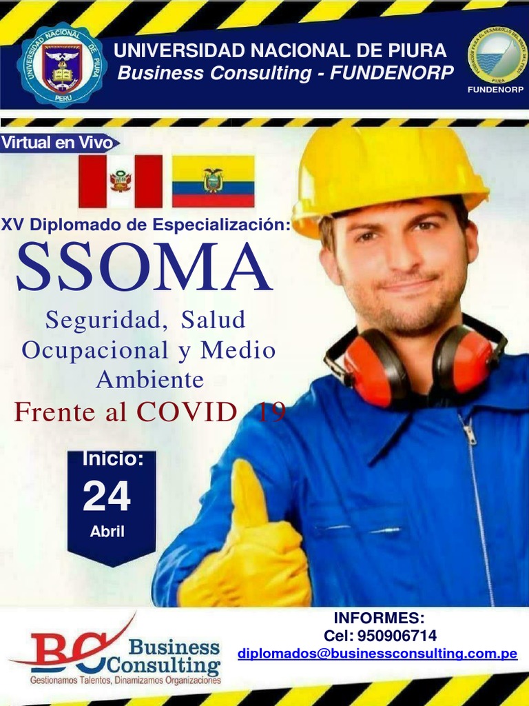 Diplomado en Salud Ocupacional Perú | PDF | Seguridad y salud ...