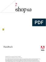 Handbuch-Pds 6