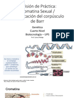 Práctica #8. IDENTIFICACIÓN DEL CORPÚSCULO DE BARR