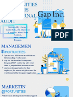 G5 GAP Opportunies Analysis For External Audit