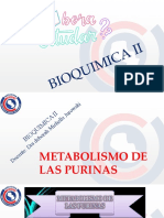 Biosíntesis de Las Purinas