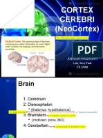 (upgraded) FAAL1 - Faal Cortex Cerebri (NeoCortex) dr.Annisa