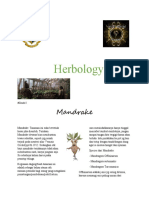 Herbology Grade 2 Warlock Wizarding Academy