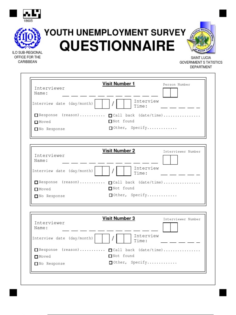 Youth Unemployment Survey Questionnaire | PDF | Career & Growth | Business