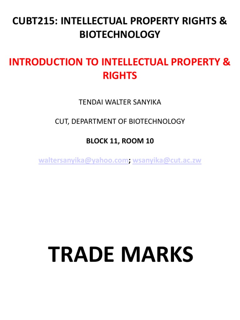 Trademarks Other Marks and Geographic Indications PDF Trademark