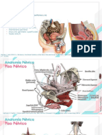 PPT2BIO