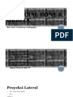 P8 TR Facial Bone & Orbita
