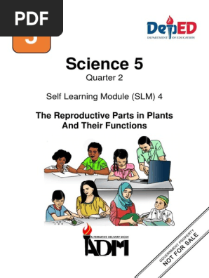 SCIENCE-5-Q2-Module 4