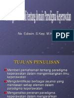 Pandangan para Ahli TTG Paradigma Keperawatan