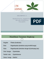 Daun Singkong