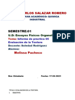 Informe Efo 05 Melissa Pacheco Textura