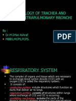 Histology of Trachea and Extrapulmonary Bronchi: By: Dr.M.Irfan Ashraf MBBS, MCPS, Fcps